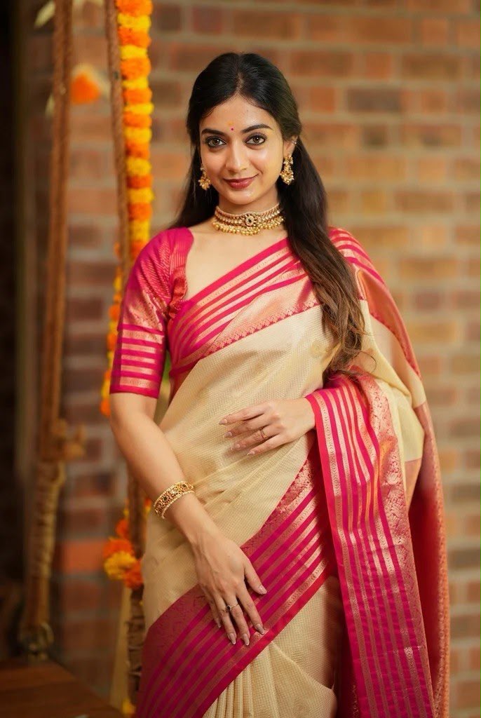 Ranya By Aab Art Silk Jacquard Border Saree 